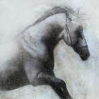 Misted Shadows Art Print