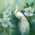 Proud Peacock Art Print by Nan