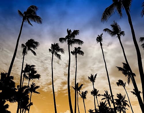 Evenings Edge Photography Print