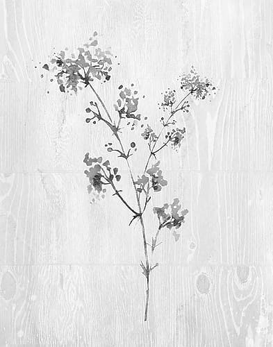 Neutral Meadow I Art Print