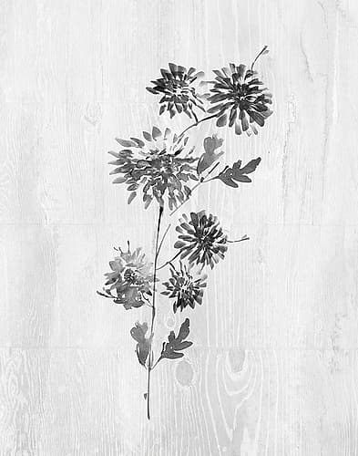 Neutral Meadow II Art Print