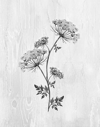 Neutral Meadow III Art Print