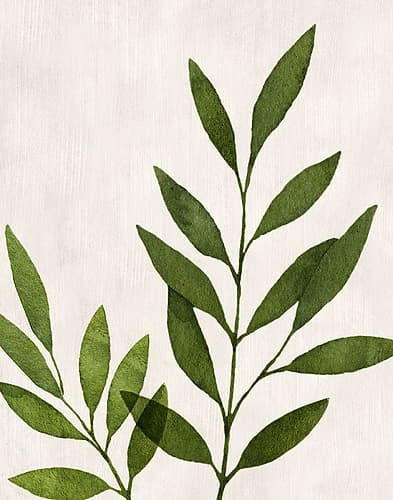 Botanical Wash IV Art Print