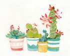 Cacti Conglomerate III Art Print