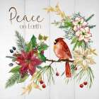 Poinsettia Peace Art Print