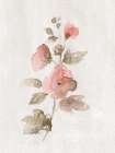 Blushing Sweetly I Art Print by Nan