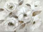 Winter White Art Print by Nan