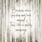 Amazing Life Art Print