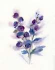 Pretty in Purple I Art Print by Nan