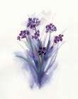 Pretty in Purple II Art Print by Nan