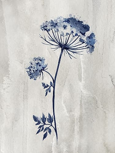 Indigo Botanical I Art Print
