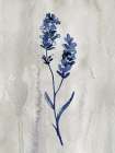 Indigo Botanical II Art Print