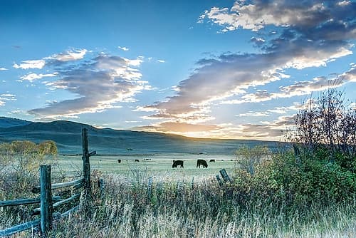 Ranch Sunrise Art Print