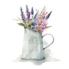 French Lavender Art Print