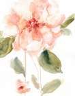 Single Perfect Bloom I Art Print