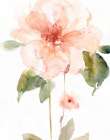 Single Perfect Bloom II Art Print