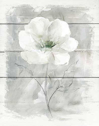 Farmhouse Rose I Art Print