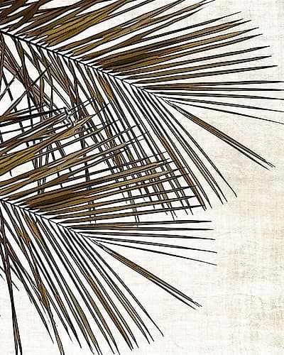 Palm I Art Print