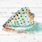 Tye Dyed Shell V Art Print