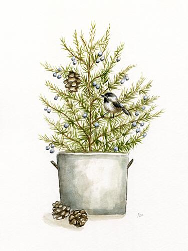 Winter Bounty I Art Print by Nan