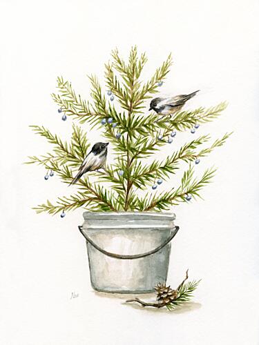 Winter Bounty II Art Print by Nan