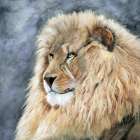 Watchful Wisdom