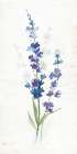 Fresh Cut Lavender II Art Print by Nan