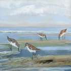 Seabird Beach III Art Print
