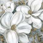 Majestic Magnolias Art Print