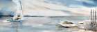 Panoramic Coast Art Print