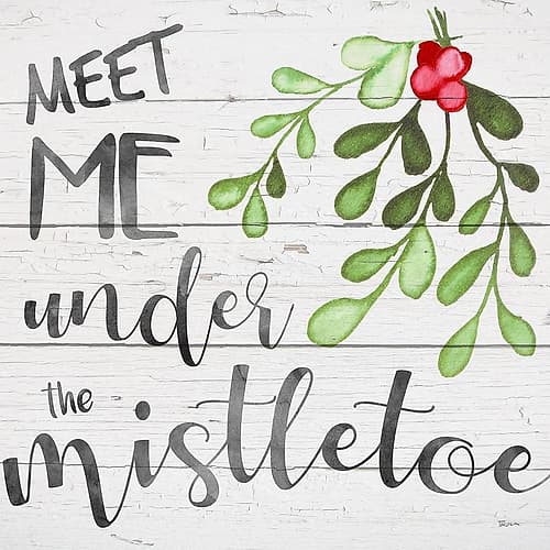 Mistletoe Art Print