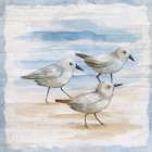 Shore Birds I Art Print