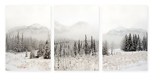 Snowbound Landscape Print