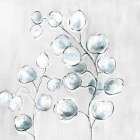 Soft Eucalyptus II Art Print by Nan