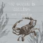 Seaside Sentiment II Art Print