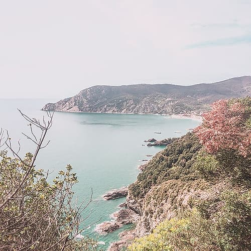 Capri Coastal Print
