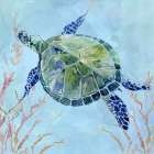 Sea Turtle II Art Print