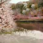 Fell the Joy of Spring Art Print