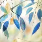 Colors for Joy II Art Print