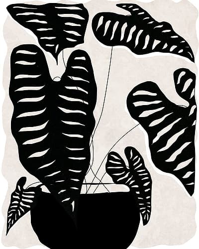 Black and White Potted Plant II Tropical Print