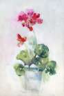 Soft Geranium I Art Print