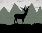 Mountain Deer