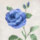 Blue Grandiflora I Art Print by Nan