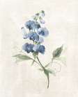 Farmhouse Periwinkle II Art Print