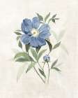 Farmhouse Periwinkle III Art Print