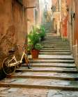 Cinque Terre Art Print