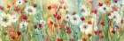 Sunny and Wild Art Print