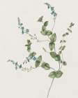 Blue Wispy II Art Print