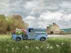 Fresh Country Picks Art Print by Nan