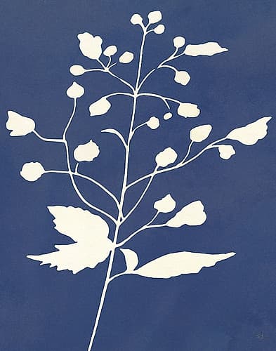 Night Sky Silhouette II Minimalist Print